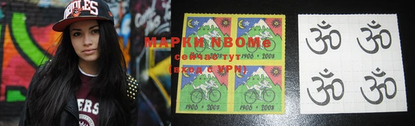 крисы Бородино