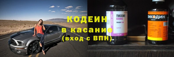 крисы Бородино