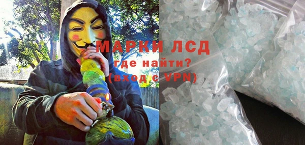 крисы Бородино