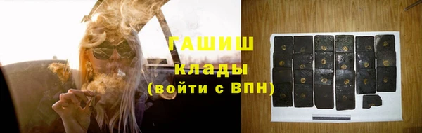 крисы Бородино