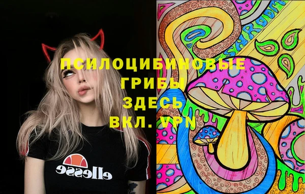 мяу мяу мука Бугульма