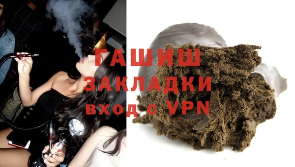 крисы Бородино
