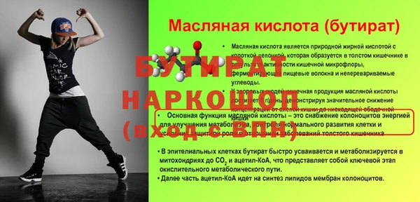 крисы Бородино