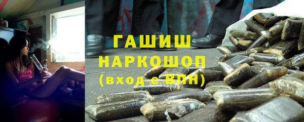 крисы Бородино