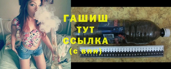 крисы Бородино