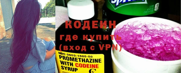 крисы Бородино