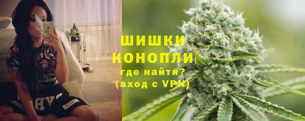 крисы Бородино