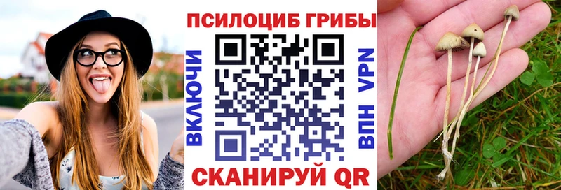 Псилоцибиновые грибы мицелий Майский